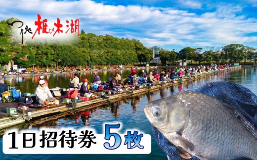釣り堀 体験 ヘラブナ へら鮒 釣り 埼玉 チケット 入場券 5枚 レジャー ふな 釣り体験 アクティビティ 観光 関東 フナ 鮒 魚 魚介 利用券 家族体験 こども 家族 ファミリー 川 湖 プラン スポーツ アウトドア 自然 つり処椎の木湖 埼玉県 羽生市