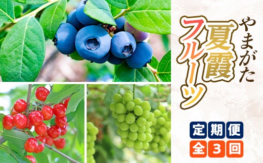 やまがた夏霞フルーツ定期便（全3回） FSY-2818