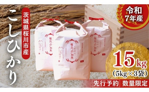 【生産者支援】 《令和7年産 先行予約》茨城県 桜川市産 こしひかり15kg（5kg×3袋） 茨城県産 桜川 米 お米 白米 コメ ごはん 精米 コシヒカリ 国産 限定 銘柄米 [SC011sa]