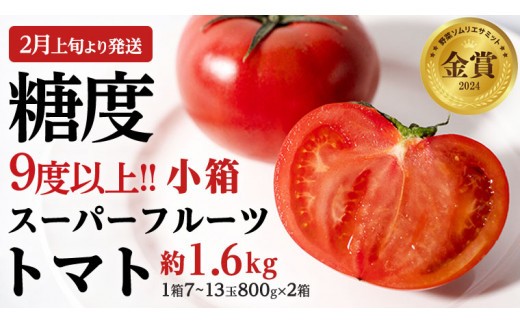 《 2026年収穫分 先行予約 》 糖度9度以上 スーパーフルーツトマト 小箱 約800g × 2箱  (7～13玉/1箱) フルーツトマト ブランドトマト 野菜 ギフト 贈答 [BC016sa]