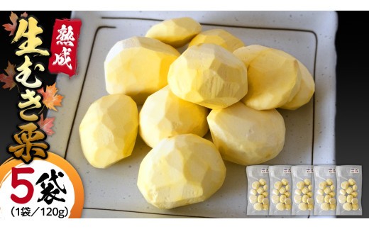 【 吉原農場 の 完熟栗 】 熟成 生むき栗 ( 120g × 5袋 ) 完熟 栗 くり クリ 栗ごはん 果物 フルーツ 贈答 ギフト 旬 秋の味覚 秋 冬 正月 おせち 《 2025年10月下旬発送開始 》 [FC004sa]