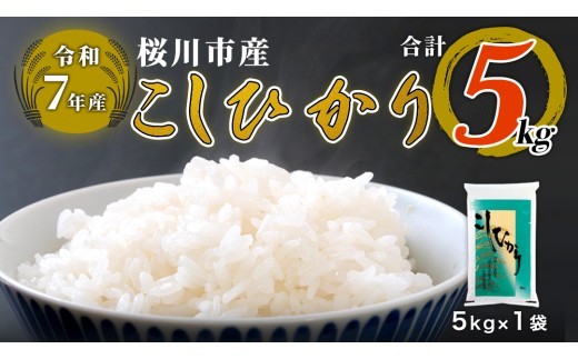 【 令和7年産 】 数量限定 桜川市産 こしひかり 5kg（5kg×1袋） 茨城県産 桜川 米 お米 白米 コメ ごはん 精米 コシヒカリ こしひかり 国産 限定 [AX018sa]