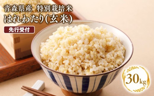 【5/1～ 寄附金額を見直しました】≪令和8年産 先行予約≫11月中旬よりお届け! 　特別栽培米 はれわたり玄米30kg(10㎏×3袋)【青森県 平川市】先行予約 米 お米 玄米 青森県産 産地直送 おにぎり 朝ご飯 冷めてもおいしい ご飯  コメ こめ 白米 ごはん ブランド米 特A 特A米 お取り寄せ グルメ