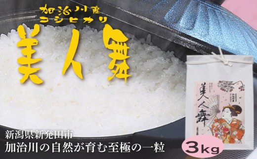 【美しさピカイチ】令和7年産 コシヒカリ ３㎏ 精米 こしひかり 米 お米 こめ ごはん ご飯 ライス 朝食 昼食 夕飯 炊きたて 希少 プレミアム 美人舞 こだわり 美しさ かがやき 輝き JGAP GAP認証 和食 自然 加治川 加治川産 新潟産 新潟 新潟県 新発田産 新発田市 新発田  アグリ加治川 agk010