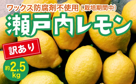 瀬戸内 訳ありレモン 約2.5kg【栽培期間中防腐剤ワックス不使用】【先行受付】【2025年12月以降発送】レモン 国産 佐木島 三原 広島 フルーツ 果物 柑橘 柑橘類 檸檬 訳あり 017059