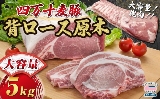 【期間限定】四万十麦豚 背ロース原木 約5kg ／Ahc-23 肉 豚肉 ブランド豚肉 原木肉 ブロック肉 ロース 四万十町 冷凍 麦豚 とんかつ バーベキュー チャーシュー 2601724 - 高知県四万十町