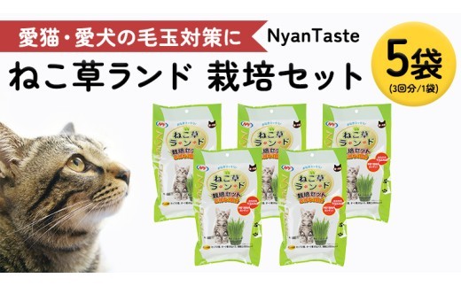 Nyantaste ねこ草ランド栽培セット 3回分×5袋 毛玉ケア 猫用 犬用 ペットフード [BU005sa]