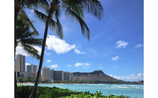 【楽園のコーヒー】ハワイ・モロカイとブルーマウンテン各75g