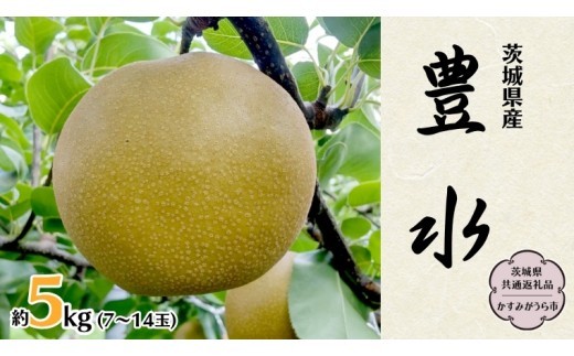 豊水 約 5kg 7玉～14玉 (茨城県共通返礼品 かすみがうら市) 産地直送 久保田果樹園 フルーツ 甘い 直送 茨城 限定 ギフト 梨 豊水 ほうすい 果物 [DH002sa]