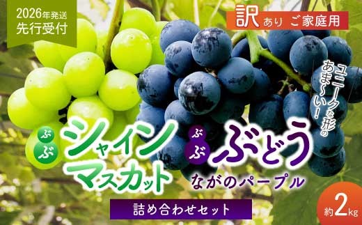 《2026年夏頃発送・先行受付》【ひのきファームランド】訳あり ぶぶぶどう詰め合わせ2kg ブブシャインマスカット 1kg ブブナガノパープル 1kg ぶどう マスカット 果物 フルーツ 233003