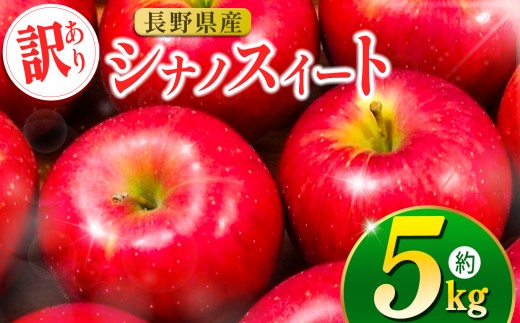 伊那市田原産 リンゴ シナノスイート 訳あり 約5kg｜りんご シナノスイート 甘い 訳あり品 美味しい フルーツ 田原 伊那 伊那産 長野県 ふるさと納税【011-a6】