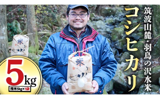 筑波山麓・羽鳥の沢水米 コシヒカリ 5㎏ 米 お米 コメ 精米 白米 桜川市 茨城県 [BN002sa]