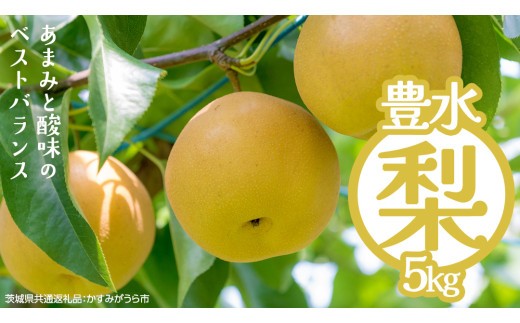 豊水 約5kg（茨城県共通返礼品：かすみがうら市） 【2026年9月上旬発送開始】 梨 数量限定 なし ナシ フルーツ 果物 旬 産地直送 [FF004sa]