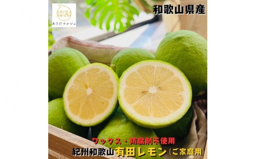 紀州和歌山 ご家庭用 有田 レモン 3kg+200g(痛み補償分)【防腐剤・ワックス不使用】【農家直送】【訳あり】 ※着日指定不可 ※2026年9月下旬～2027年3月下旬に順次発送予定【ard189A】