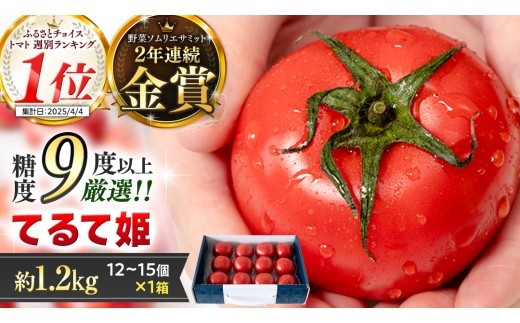 《 テレビで紹介 》 糖度9度以上 スーパーフルーツトマト てるて姫 中箱 約1.2kg × 1箱 【12～15玉/1箱】 2026年収穫分 先行予約 フルーツトマト ブランドトマト 野菜 ギフト 贈答 青空レストラン アド街ック天国 グッドモーニング 黄金のワンスプーン [BC033sa]