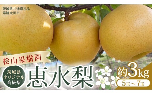  茨城県 オリジナル 幻の 高級梨 『 恵水 』 約 3㎏ 5玉 ～ 7玉 【茨城県共通返礼品／常陸太田市】 桧山果樹園 農家直送 桧山果樹園 農家直送 フルーツ  甘い 直送 茨城 限定 ギフト 梨 恵水 けいすい 果物 [DU007sa]