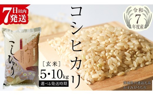 ＼ 最短7営業日以内に発送 ／《 令和7年産 》 コシヒカリ 玄米 5kg ～ 20kg ( 選べる 内容量・発送時期 ) (茨城県共通返礼品 かすみがうら市) スピード発送 早い  米 ごはん もっちり 甘い コメ お米 玄米 銘柄米 [EX003sa00]