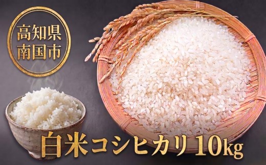 白米 コシヒカリ 10キロ 10kg 数量限定 米 コメ お米 ご飯 おにぎり こめ 令和7年度 農家直送 産地直送 ふるさと納税  高知県 南国市