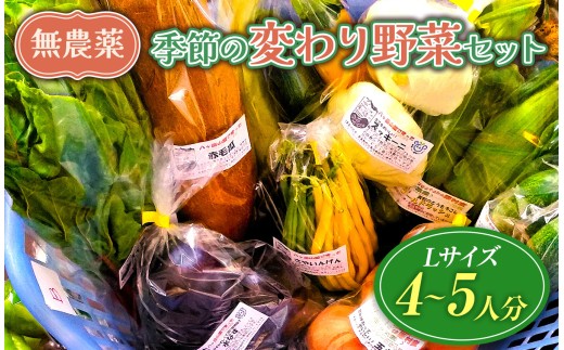 【栽培期間中農薬不使用・無化学肥料・無家畜性肥料で育てた】 季節の 変わり野菜セット ( Lサイズ )【2026年7月下旬～発送】| 旬 野菜 珍しい 10種類前後 4～5人分 セット シードマイスター 農薬不使用 無化学肥料 無家畜性肥料 信州 八ヶ岳 長野県 諏訪郡 原村