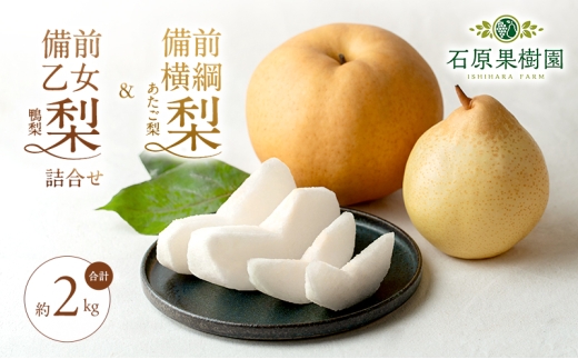 梨 2026年 先行予約 備前横綱梨（あたご梨） 1玉( 1～1.5kg)・備前乙女梨（鴨梨） 2～3玉 詰合せ 合計約2.0kg 【11月下旬～12月中旬頃発送】岡山県産 フルーツ ギフト 石原果樹園 ナシ 果物 