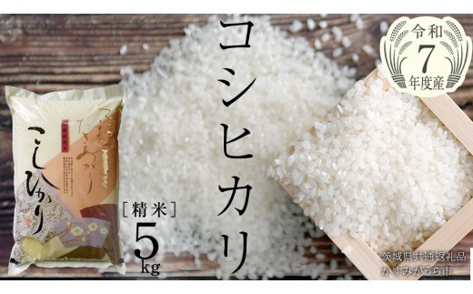 ＼ 7月出荷 ／【令和7年産】コシヒカリ 精米5kg（5kg×1袋）（茨城県共通返礼品 かすみがうら市産） [EX010sa-07]
