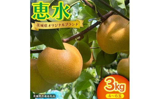 恵水 約 3kg 4～6玉 (茨城県共通返礼品:かすみがうら市) 2026年 マスカット ぶどう 葡萄 ブドウ フルーツ 果物 くだもの 旬 食べ比べ セット 詰め合わせ 国産 産地直送 ギフト 贈答 プレゼント 手土産 お土産 [DH024sa]