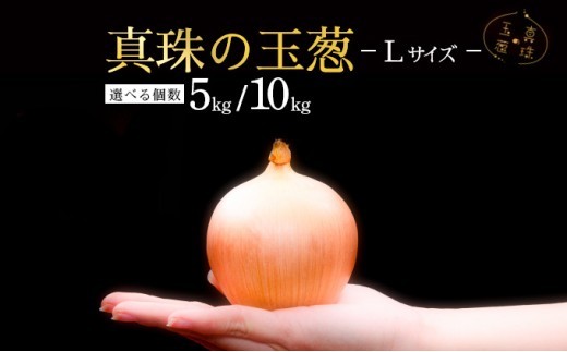 ＜選べる内容量＞真珠の玉葱 Lサイズ 5kg/10kg  ≪海のミネラルで育てた玉葱≫【50103】
