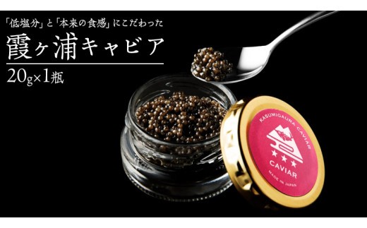 霞ヶ浦キャビア 20g×1  高級食材 記念日 誕生日 世界三大珍味 キャビア 国産キャビア 茨城県産 [AI014sa]