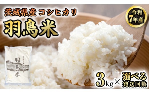 《 令和7年産 先行予約 》【 選べる 回数 】 コシヒカリ 「幻の米 羽鳥米」 3kg 定期便 3回 4回 筑波北麓秘蔵米 米 お米 ごはん 精米 コメ 白米 国産 茨城県 桜川市 限定 期間限定 数量限定 銘柄米 3ヶ月 4ヶ月 [AX005sa00]