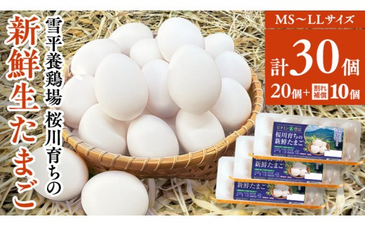 雪平養鶏場 桜川育ちの 新鮮 たまご 合計30個（20個＋10個割れ補償付) 数量限定 卵 数量限定 茨城県 桜川市 [SC032sa]