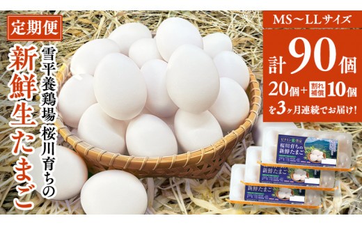 【3ヵ月定期便】雪平養鶏場 桜川育ちの 新鮮 たまご 合計90個 （20個＋10個割れ補償付)×3回  数量限定 卵 定期便 茨城県 桜川市 [SC033sa]
