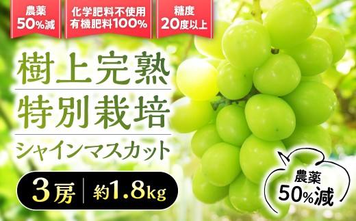 【2026年／令和8年発送】樹上完熟シャインマスカット（特別栽培）1.8㎏／3房　BM-13