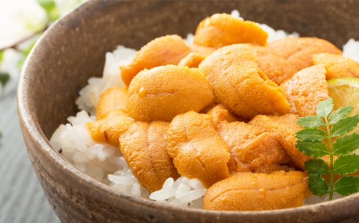 【令和8年発送先行予約】塩水うに 500g×1パック