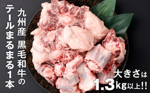 九州産 黒毛和牛テール まるまる1本売り