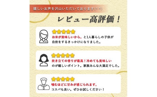 無洗米 お米 米 精米 白米 訳あり 20kg (5kg×4袋) 5キロ 10キロ 20キロ 10kg 20kg 無洗米 お米
