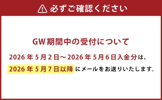 【熊本県】JTB ふるさと旅行 クーポン（Eメール発行） 3,000円分 
