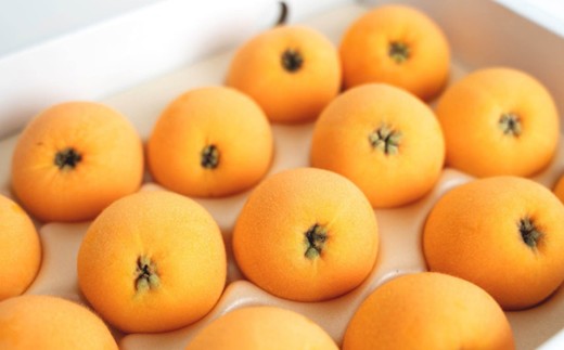 長崎びわ「なつたより」15玉-18玉入り フルーツ 果物 くだもの ビワ