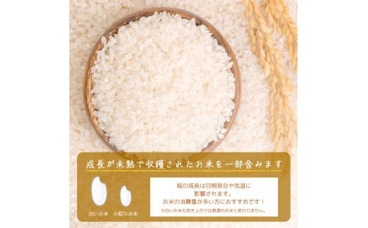 無洗米 お米 米 精米 白米 訳あり ふくめぐみ 5kg (5kg×1袋) 5キロ 無洗米 お米