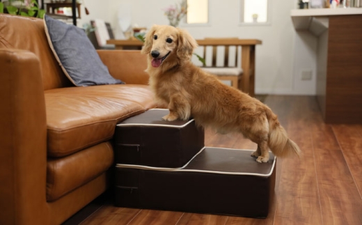 【ダークグレー（旧 グレー） ・2026年5月配送】ハグワン ドッグステップ（HUG-WAN） 糸島市 / 株式会社さくらドーム [AIR004-8-2605]