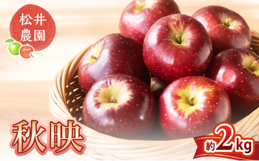 信州小諸 松井農園の秋映 約2kg 果物類・林檎・りんご・リンゴ[№5915-0803]