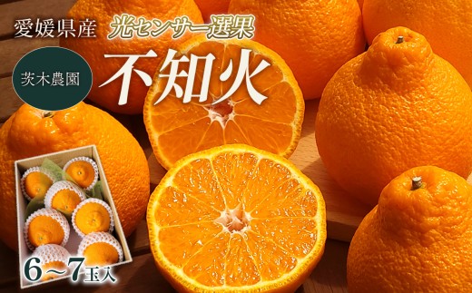 茨木農園の不知火 6～7玉入 （2Lサイズ前後） 愛媛県産 柑橘 しらぬい 不知火 【2026年4月中旬～5月中旬まで順次発送】 みかん ミカン 蜜柑 えひめ みかん 不知火 デコポン と同品種 でこぽん 完熟 柑橘 国産 愛媛県 西条市 こだわり 有機栽培 産地直送 