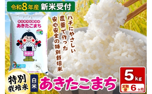 《令和8年産 新米受付》【白米】《定期便6ヶ月》特別栽培米 あきたこまち 5kg 秋田県 横手市 [新米 先行予約 秋田県産 あきたこまち 秋田こまち 米 お米 こめ]
