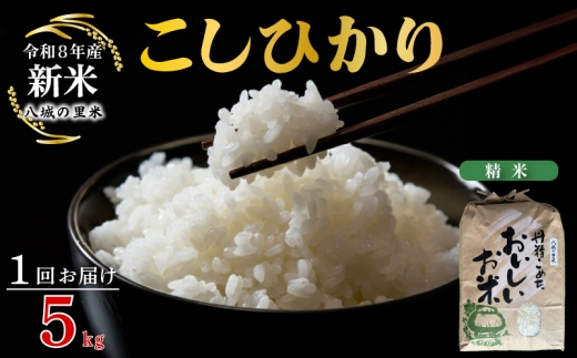 【令和8年産先行予約】【1回お届け】こしひかり 精米 5kg