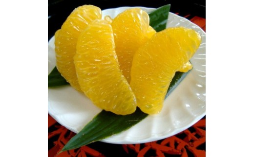 和歌山広川町産 さつきはっさく 約5kg 秀品 サイズおまかせ (Lまたは2Lいずれかお届け) ※2027年3月下旬から4月下旬に順次発送【sml022-satu-r-5】 2605874 - 和歌山県広川町