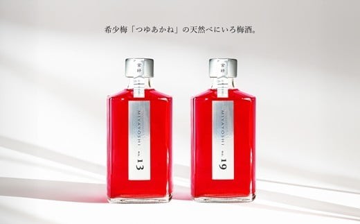 MIYAYOSHI　SILVER LABEL　No.13 No.19 large bottle 2P SET(A1111-1)
