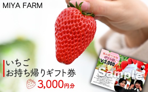 【先行受付】MIYA FARM いちごお持ち帰りギフト券 3,000円分 ※2026年12月～発送