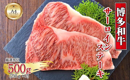 博多和牛サーロインステーキセット　500ｇ（250ｇ×2枚）[H0128]