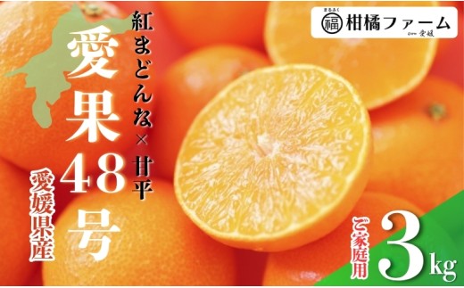 【2027年先行予約】愛果48号 3kg 訳あり ご家庭用 【2027年3月上旬発送予定】 農園直送 みかん 愛媛 人気 数量限定 柑橘 伊予市|B444