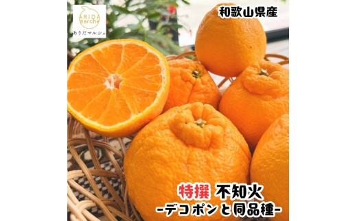 ［先行予約］特選 濃厚 不知火 5kg ［MS143］ 2607279 - 和歌山県和歌山市