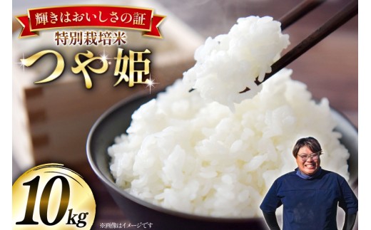 米 令和8年産 特別栽培米 つや姫 10kg (5kg×2) [本田勇仁 山形県 高畠町 tk06bgj910005] お米 白米 精米 ごはん ご飯 ブランド米 